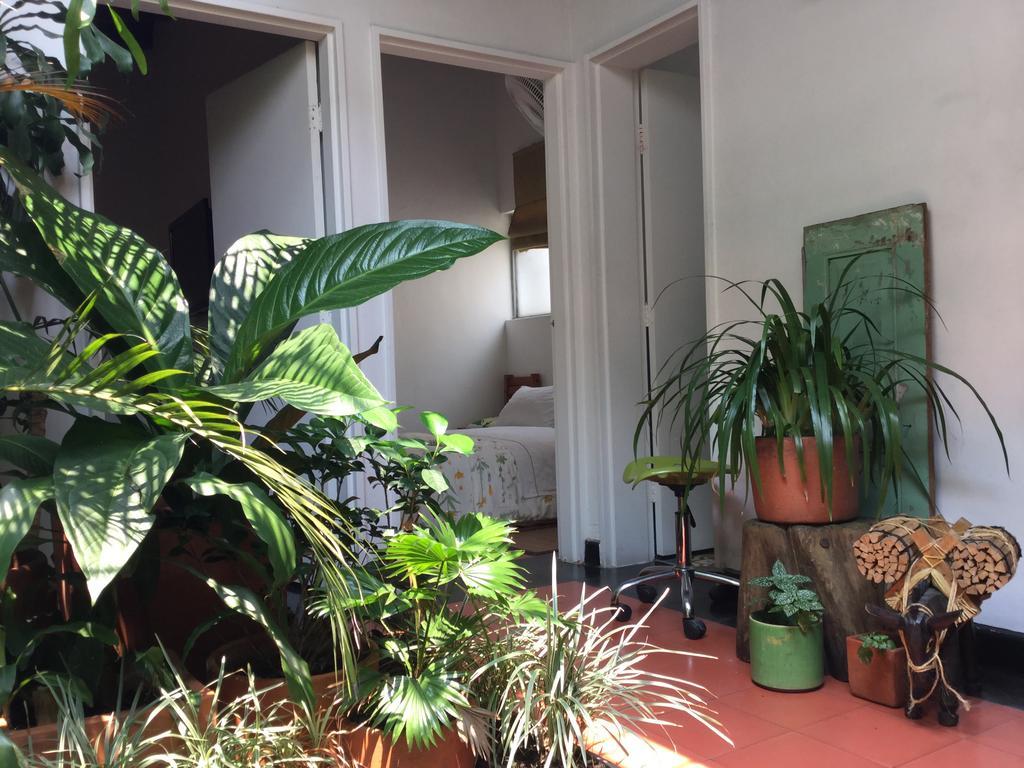 Saman Hostel Medellin Bagian luar foto