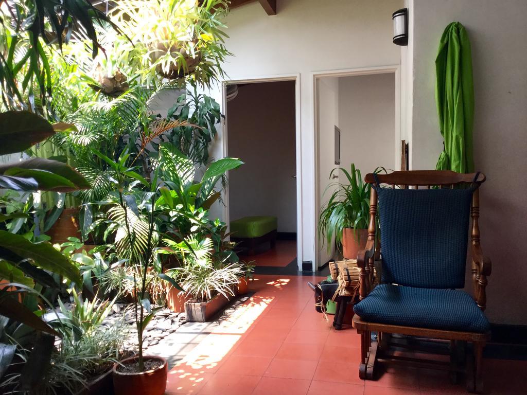 Saman Hostel Medellin Bagian luar foto