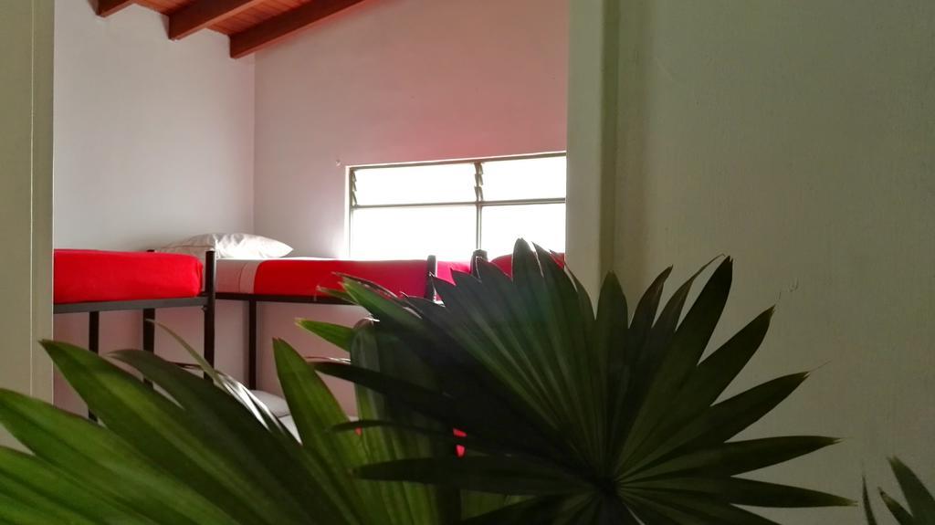 Saman Hostel Medellin Bagian luar foto