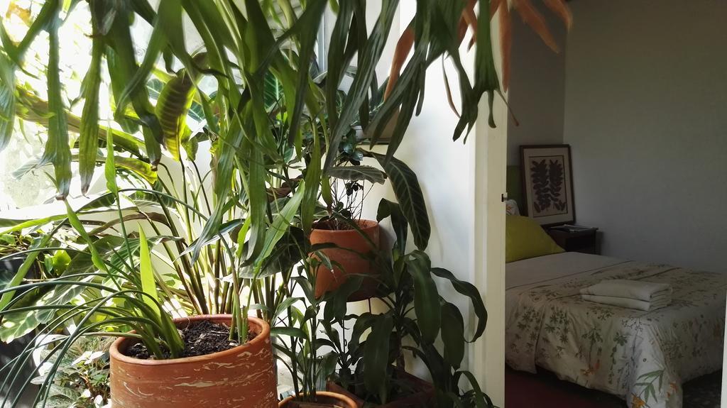 Saman Hostel Medellin Bagian luar foto