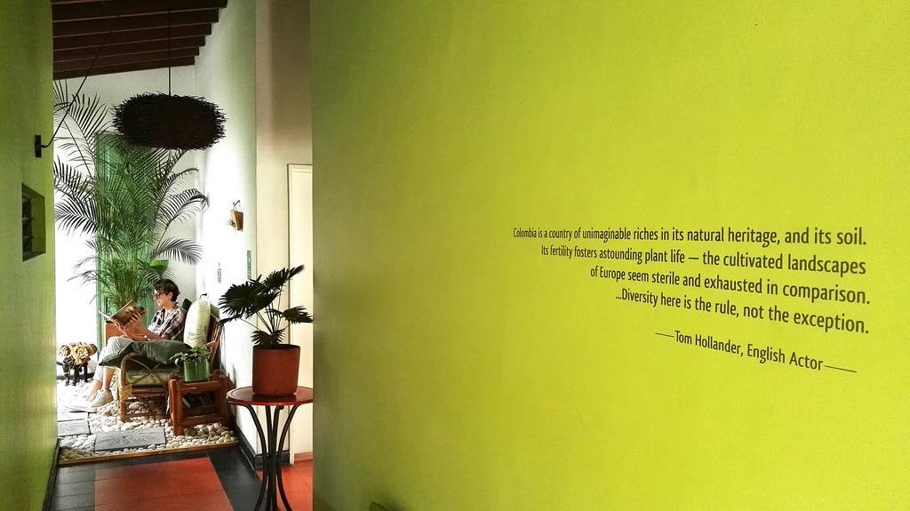 Saman Hostel Medellin Bagian luar foto