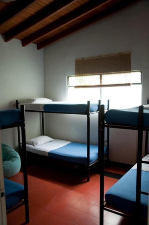 Saman Hostel Medellin Bagian luar foto
