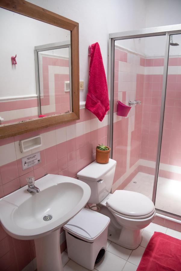Saman Hostel Medellin Bagian luar foto